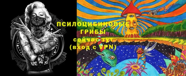 МДПВ Карпинск