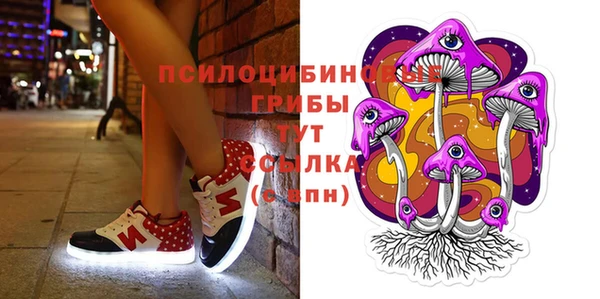 бутират Алексин