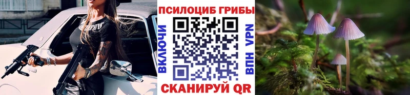 Псилоцибиновые грибы прущие грибы  хочу   Славск 